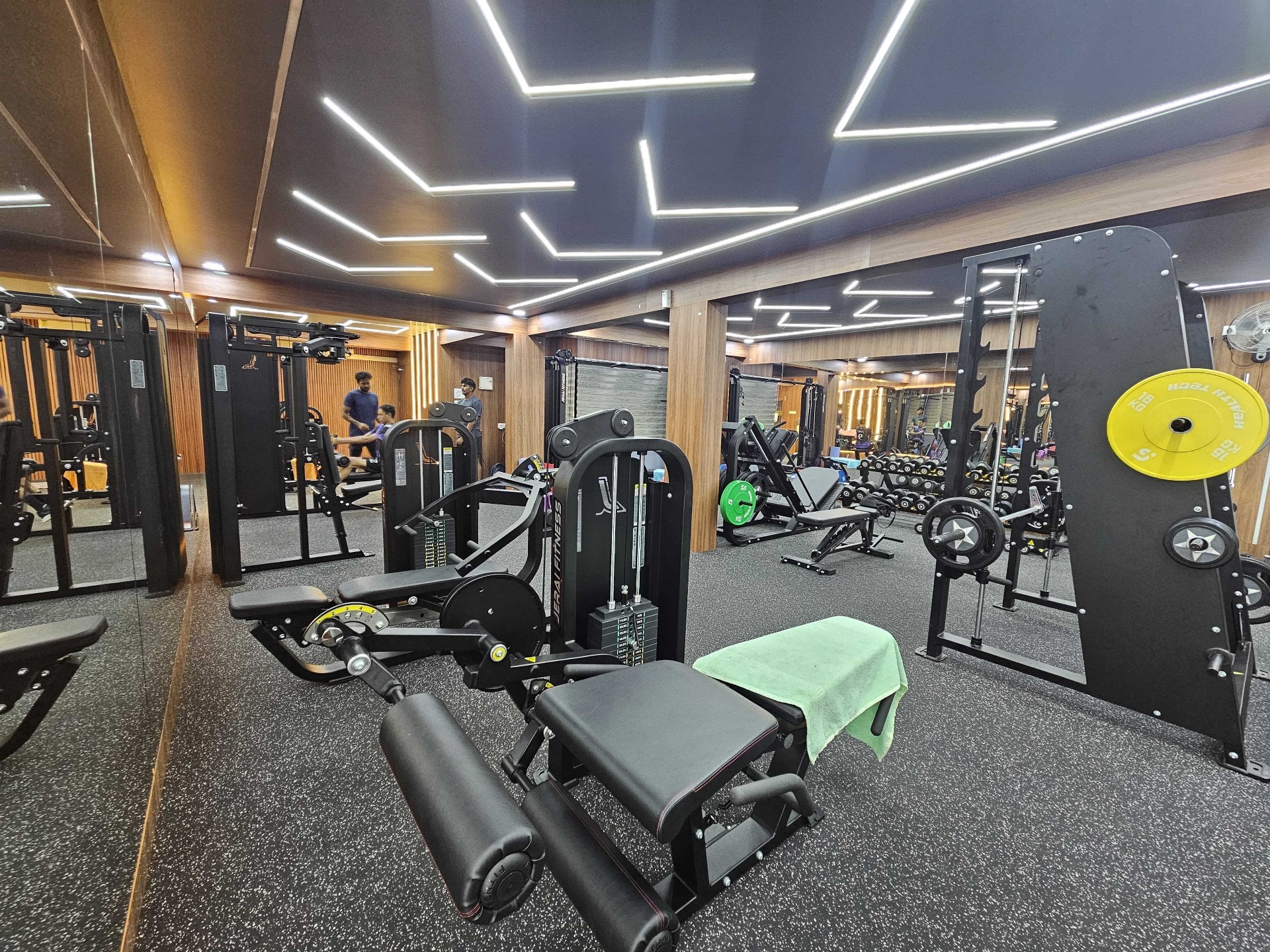 Professional gym setup